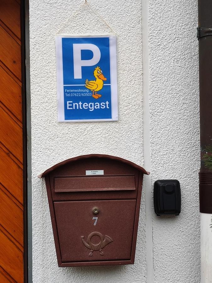 Apartment Entegast Schopfheim Exterior foto